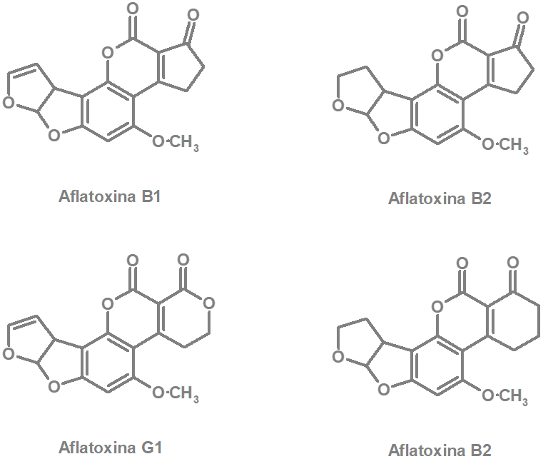 Aflatoxina 1