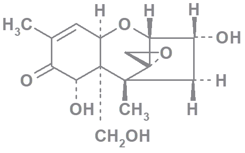 Deoxinivalenol