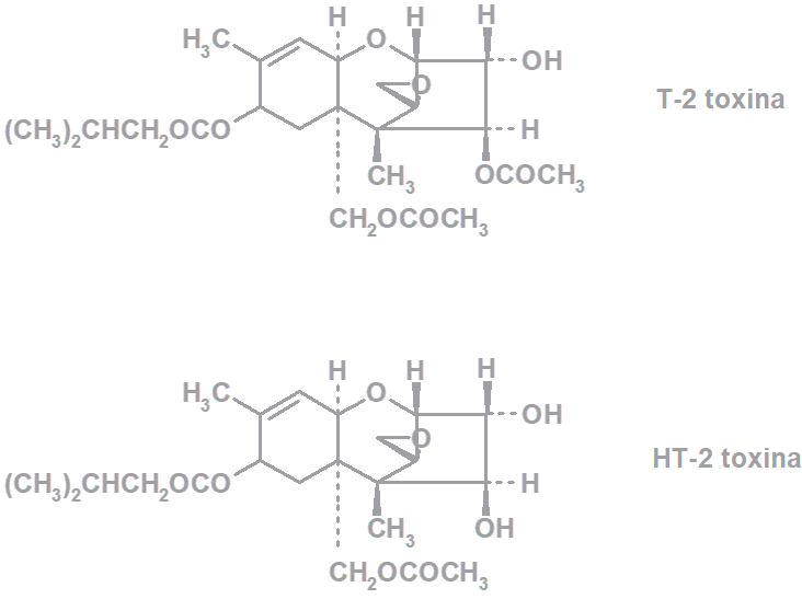 Toxina