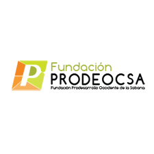 fundacion logo